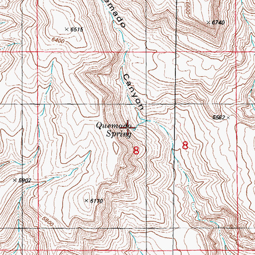 Topographic Map of Quemado Spring, NM