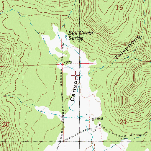 Topographic Map of Telephone Canyon, NM
