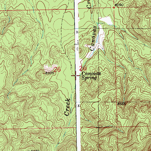 Topographic Map of Canovas Spring, NM