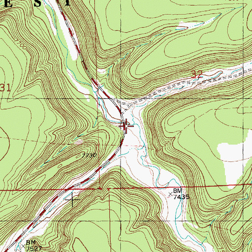 Topographic Map of Paradise Canyon, NM