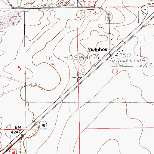 Topographic Map of Delphos, NM