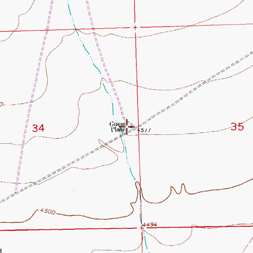 Topographic Map of Guess Place, NM