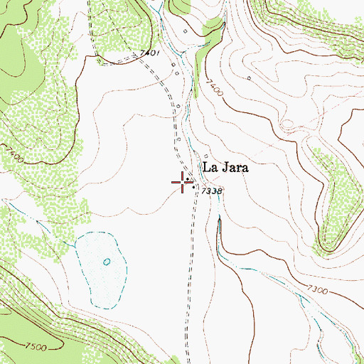 Topographic Map of La Jara, NM