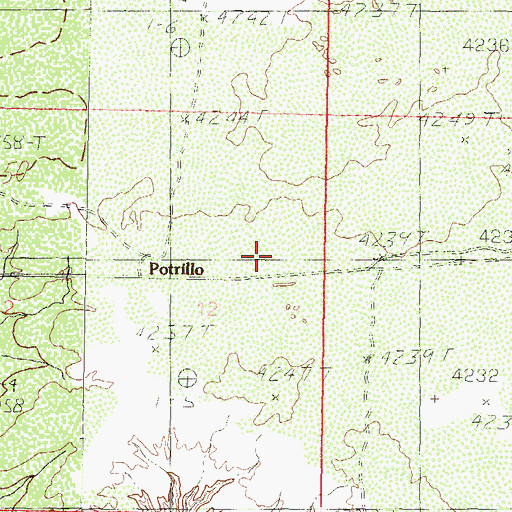 Topographic Map of Potrillo, NM