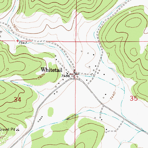 Topographic Map of Whitetail, NM