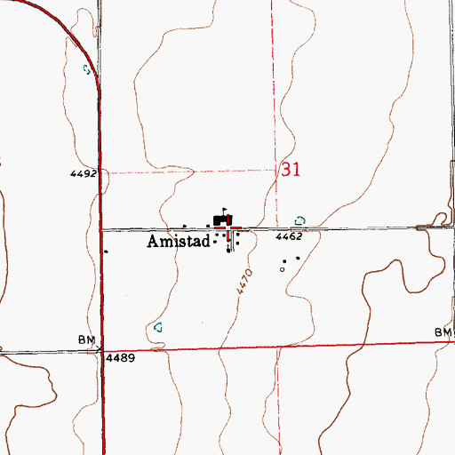 Topographic Map of Amistad, NM