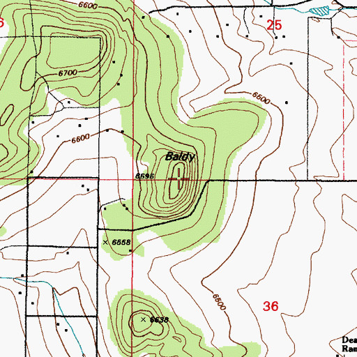 Topographic Map of Baldy, NM