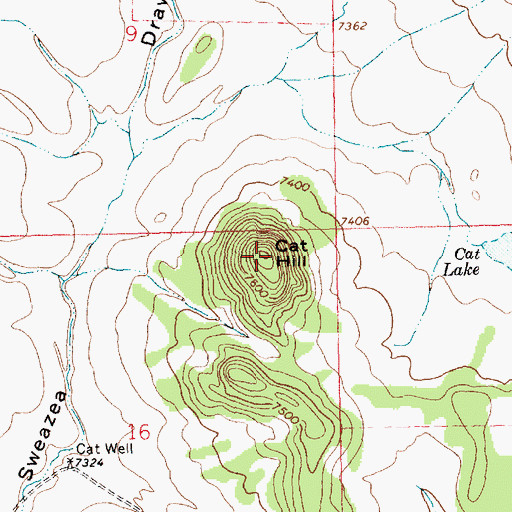 Topographic Map of Cat Hill, NM