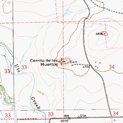 Topographic Map of Cerrito de los Muertos, NM