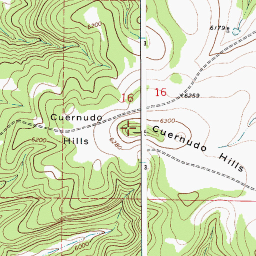 Topographic Map of Cuernudo Hills, NM