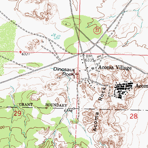 Topographic Map of Dinosaur Rock, NM