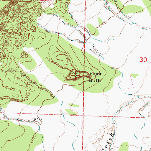 Topographic Map of Flour Butte, NM