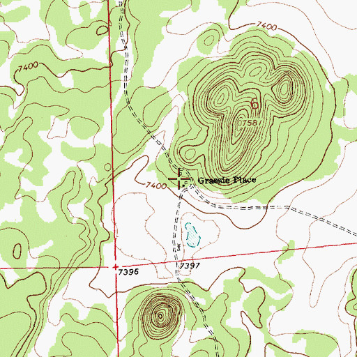 Topographic Map of Grassie Place, NM