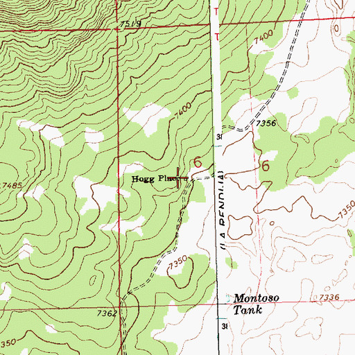 Topographic Map of Hogg Place, NM