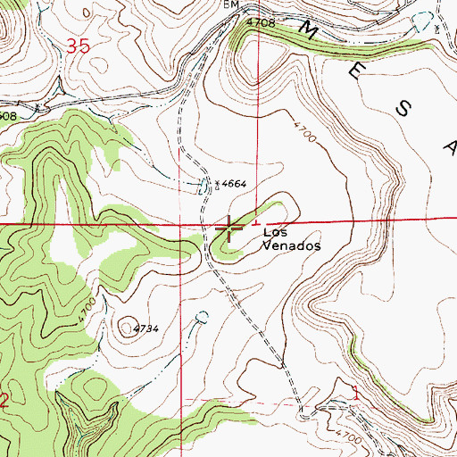 Topographic Map of Los Venados, NM