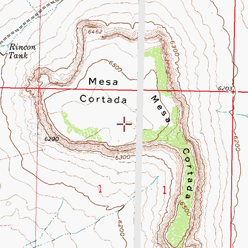 Topographic Map of Mesa Cortada, NM