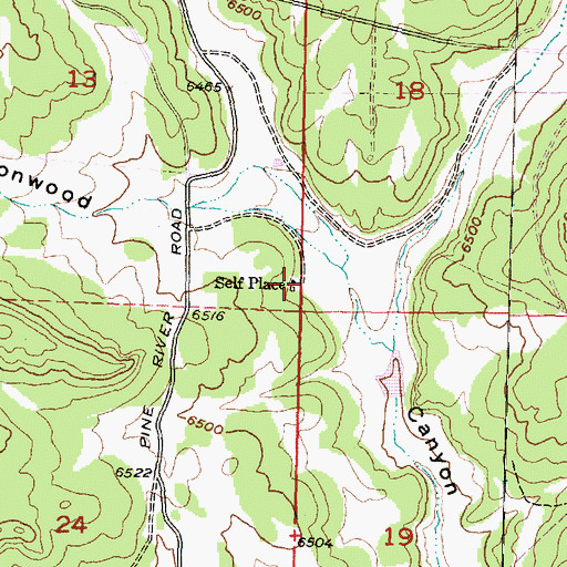 Topographic Map of Self Place, NM