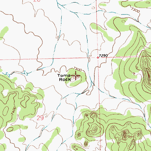 Topographic Map of Toms Rock, NM