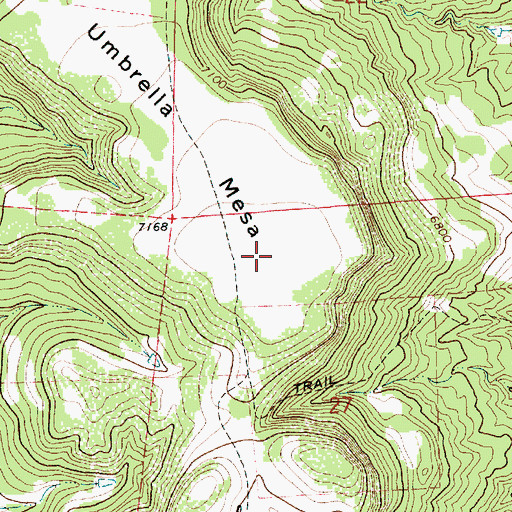 Topographic Map of Umbrella Mesa, NM