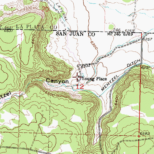 Topographic Map of Young Place, NM