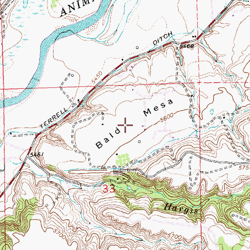 Topographic Map of Bald Mesa, NM