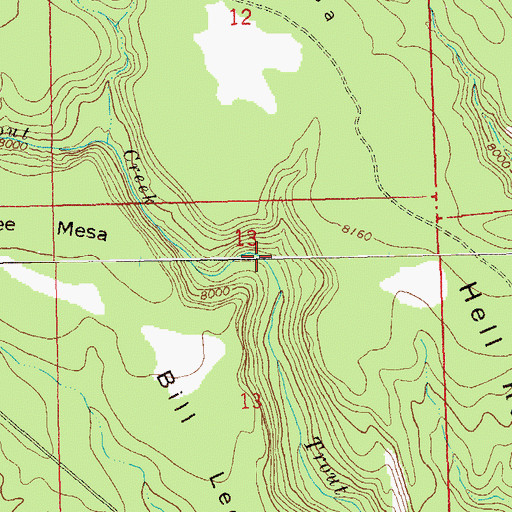 Topographic Map of Big Tank, NM