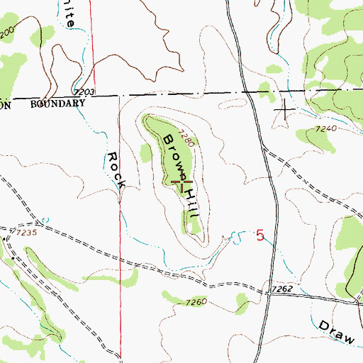 Topographic Map of Brown Hill, NM