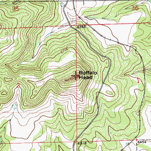 Topographic Map of Buffalo Head, NM