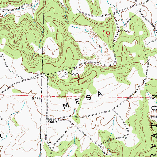 Topographic Map of Carter Mesa, NM