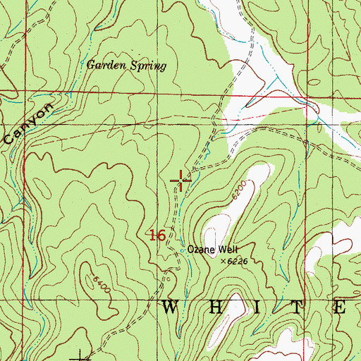 Topographic Map of Coane, NM