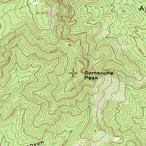 Topographic Map of Comanche Peak, NM