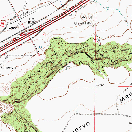 Topographic Map of Cuervo Mesa, NM