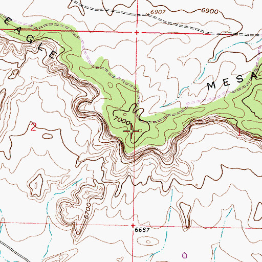 Topographic Map of Eagle Mesa, NM
