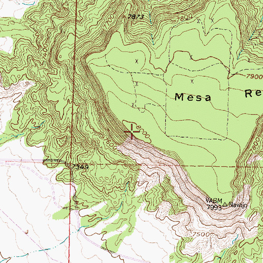 Topographic Map of Mesa Redonda, NM