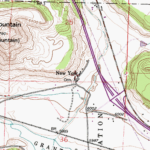 Topographic Map of New York, NM