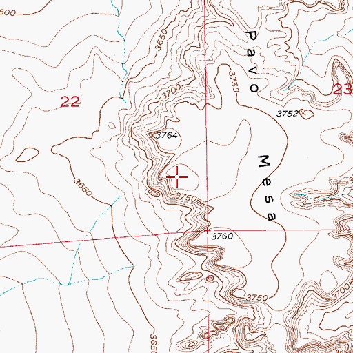 Topographic Map of Pavo Mesa, NM