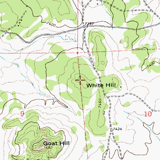 Topographic Map of White Hill, NM