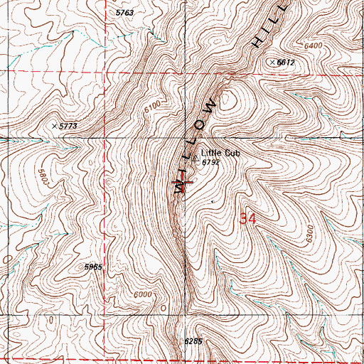 Topographic Map of Willow Hill, NM