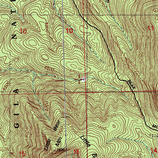 Topographic Map of Little Bear Tank, NM