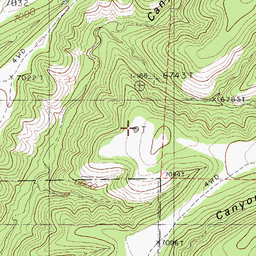 Topographic Map of Pit Tank, NM
