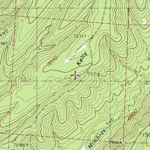 Topographic Map of Juniper Tank, NM