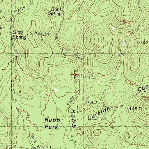 Topographic Map of Race Spring, NM