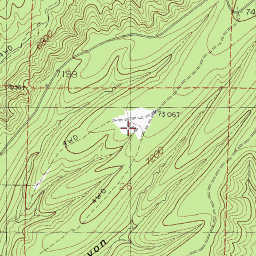 Topographic Map of Rays Tank, NM
