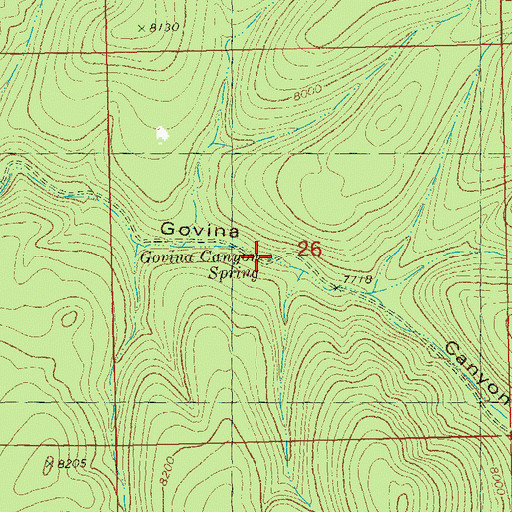 Topographic Map of Govina Canyon Spring, NM