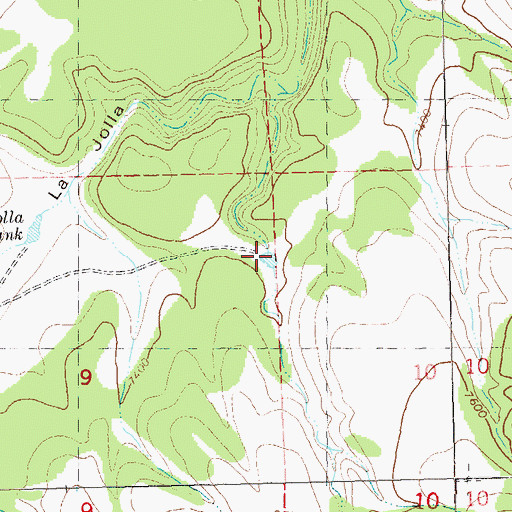 Topographic Map of Section Ten Tank, NM
