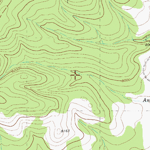 Topographic Map of Salt Lick Tank, NM