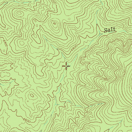 Topographic Map of Salt Creek Spring, NM