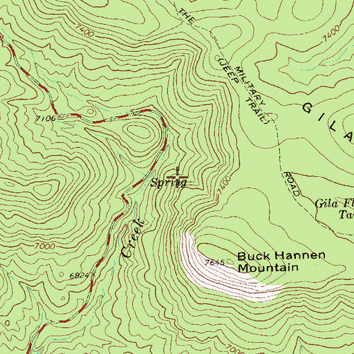 Topographic Map of Copperas Spring, NM