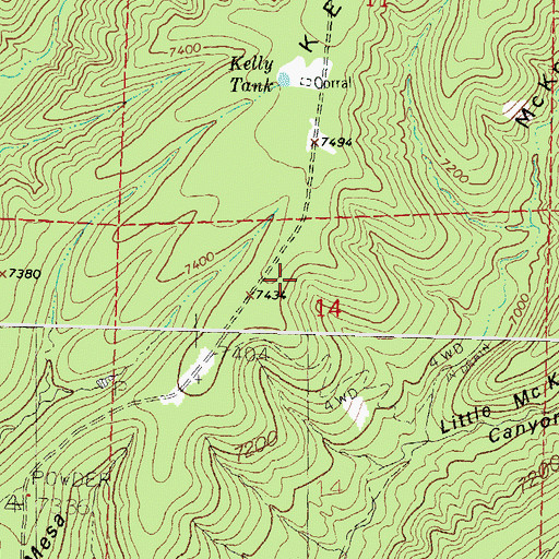 Topographic Map of Cabin Spring, NM