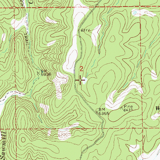 Topographic Map of Cattle Guard Tank, NM